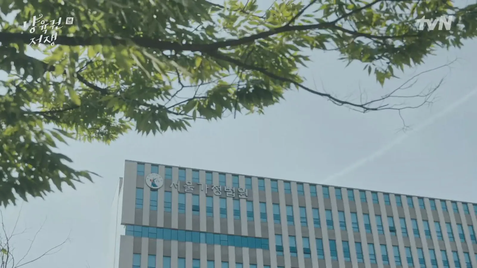 수원가정법원 드라마 장면 1