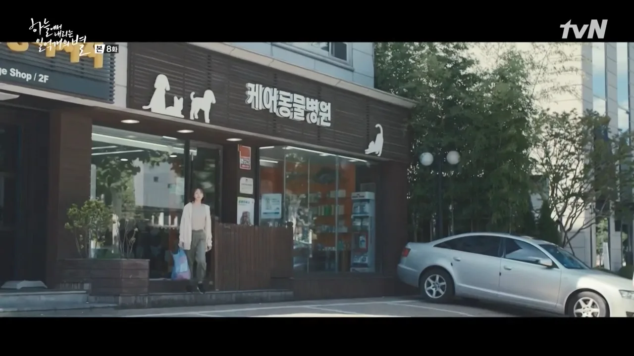 웰케어동물병원 드라마 장면 1