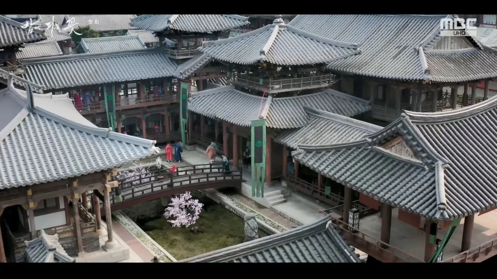 용인대장금테마파크 · 밤에피는꽃 촬영 장면 1